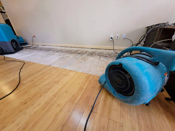 Professional Flood Damage Cleanup technician working in Stacy, MN